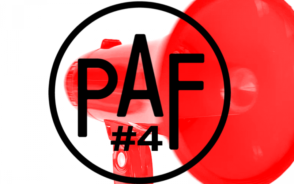 PAF Package Peter Trabner & Prinzip Gonzo